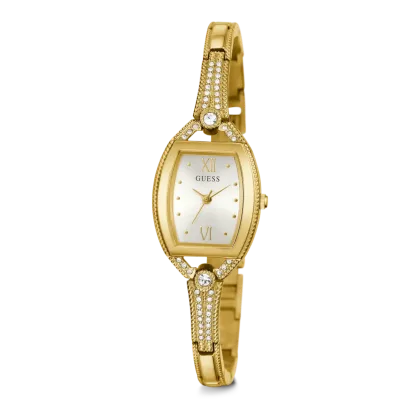 GW0249L2 vue de face corrigee