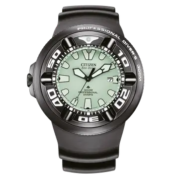 BJ8055-04X vue 4