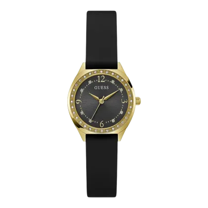 GW0820L1 vue de face corrigee